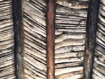 Close-up of wood
