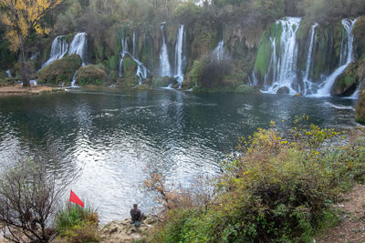 Scenic view of waterfall in forest