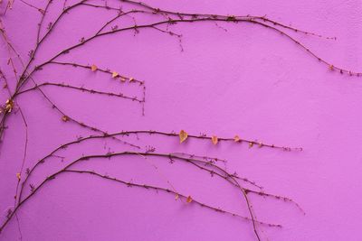 Full frame shot of abstract background