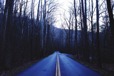 Road amidst bare trees in forest