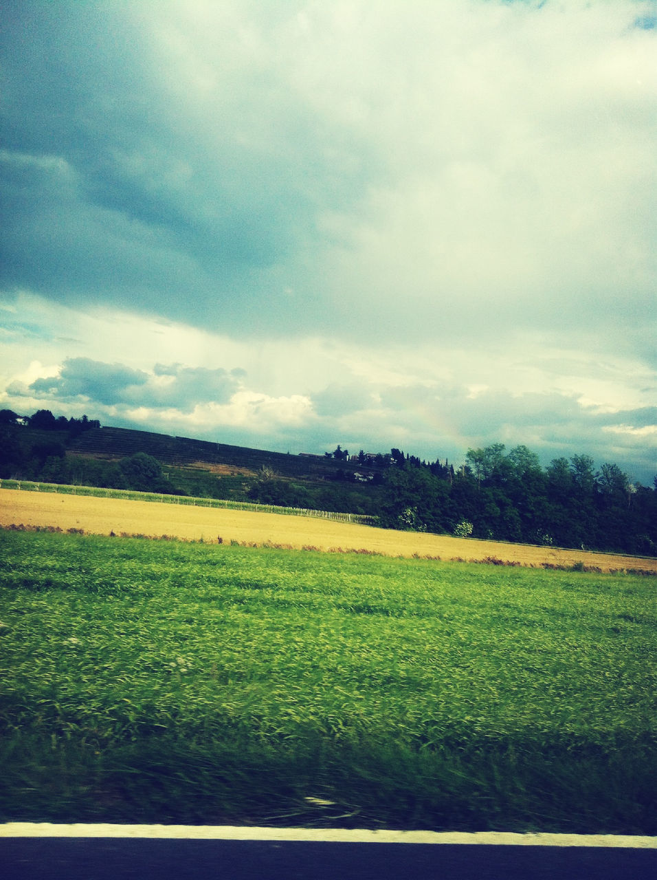 sky, landscape, tranquil scene, field, tranquility, beauty in nature, cloud - sky, scenics, nature, growth, cloudy, cloud, rural scene, grass, yellow, agriculture, tree, green color, plant, flower