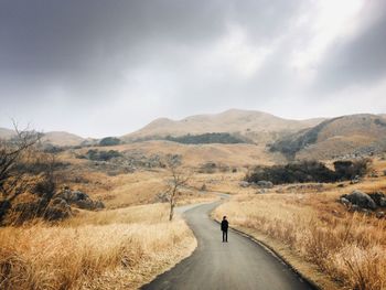 Rear view of man walking on road