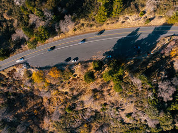 High angle view of road amidst trees