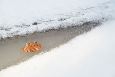 High angle view of snow on water