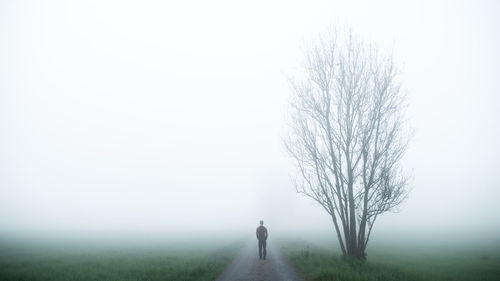 Rear view of man standing by bare tree on road during foggy weather
