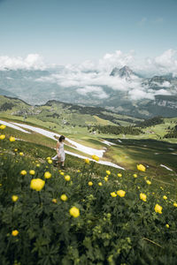 High angle view of woman walking by yellow flowering plants against sky