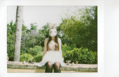 Plants growing on tree trunk