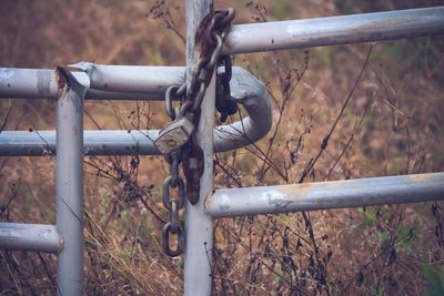 Close-up of barbed wire fence