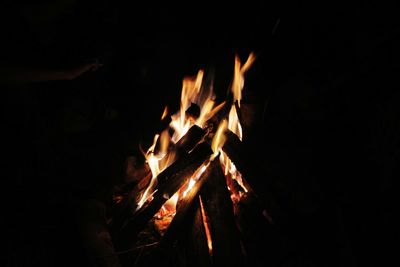 Close-up of fire in the dark