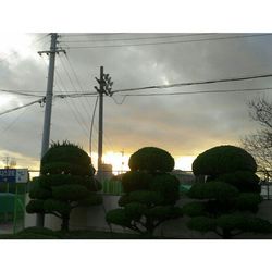 Silhouette of trees against cloudy sky