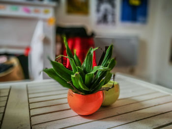 Close-up of potted plant