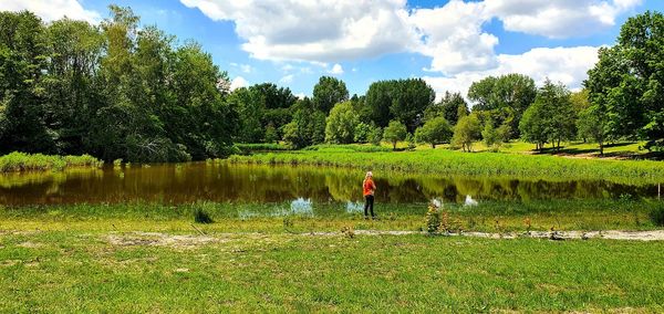 Scenic view of lake by trees against sky