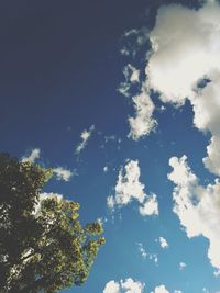 Low angle view of trees against blue sky