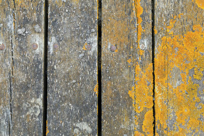 Full frame shot of weathered wood