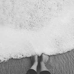 Low section of person on shore at beach