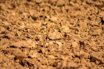 Topsoil on a field from a farm