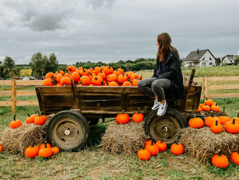 Full frame shot of pumpkins on field