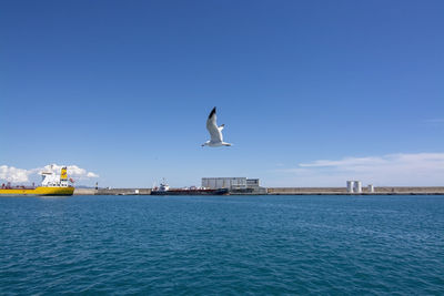 Seagull flying over sea against sky