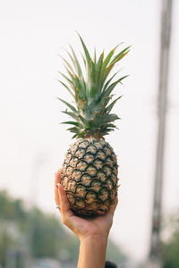 Close-up of woman holding pineapple fruit