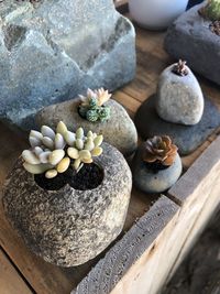 High angle view of succulent pot made of stones on table