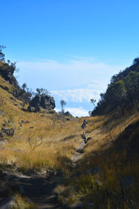 Scenic view of landscape against clear sky
