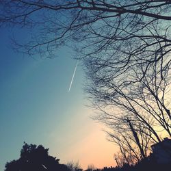 Low angle view of silhouette trees against sky