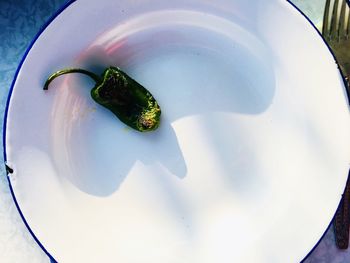 High angle view of food in plate