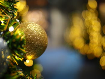Close-up of christmas tree