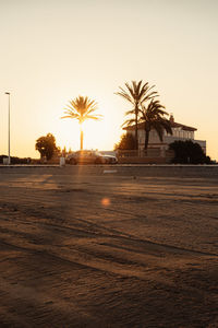 Palm trees against clear sky at sunset