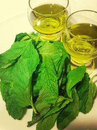 Close-up of green leaves