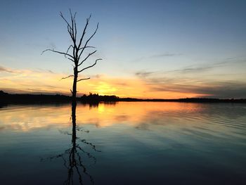 Reflection of trees in lake