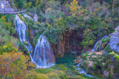 Scenic view of waterfall in forest