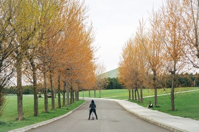 People walking on footpath in park