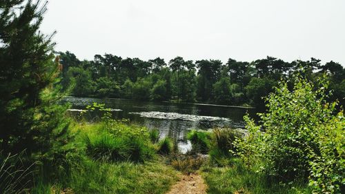 Scenic view of lake