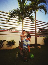 Boy playing with palm tree