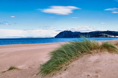Scenic view of beach against sky