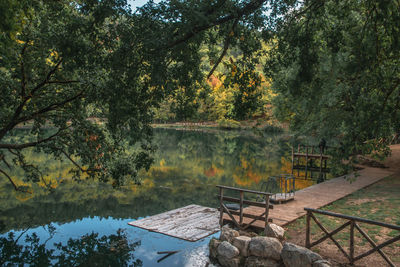 Scenic view of lake in forest during autumn