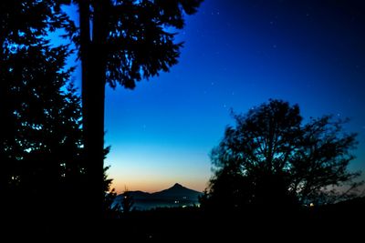 Silhouette of trees at sunset