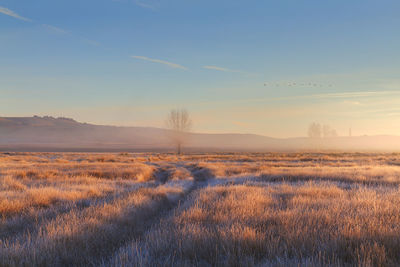 Fields near the gallocanta lagoon. aragon