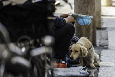 Man with dog sitting outdoors