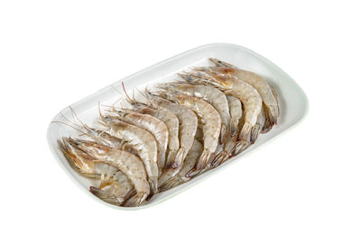 High angle view of fish on white background