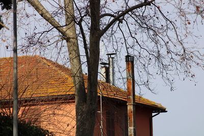 Low angle view of tree and building against sky