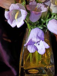 Close-up of purple flowers