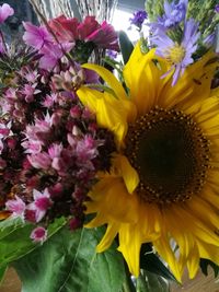 Close-up of sunflowers