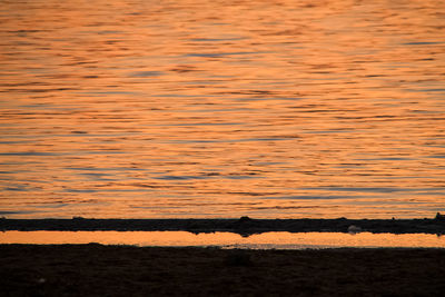 Scenic view of sea against orange sky