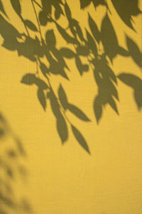 Full frame shot of yellow shadow on wall