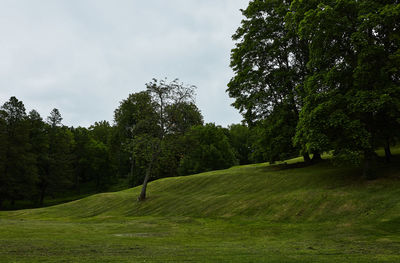 Trees on landscape against sky
