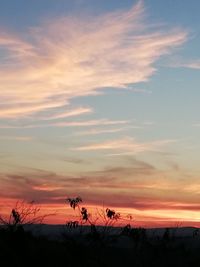 Silhouette plants on field against sky during sunset