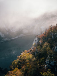 High angle view of trees on mountain by lake