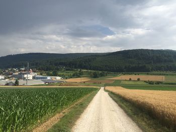 Road amidst agricultural field against sky